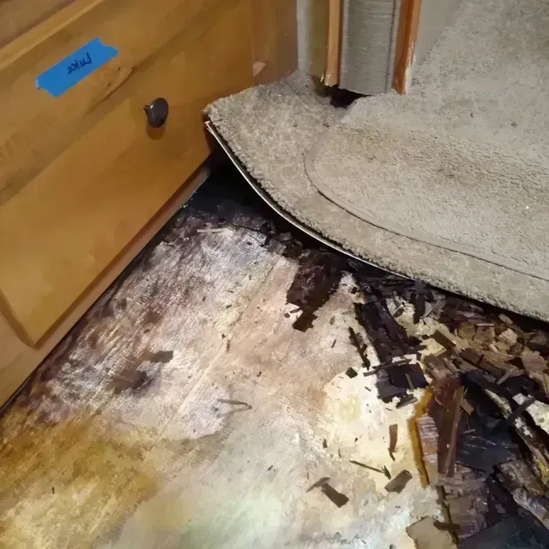 Wood Floor Water Damage in Crestwood, MO